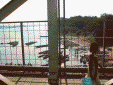 Le fleuve Sénégal à Kayes. 