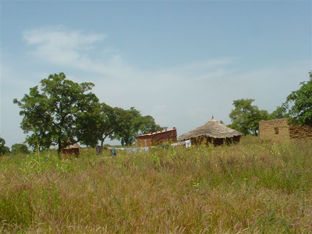 Heremakono - 17/10/2004
