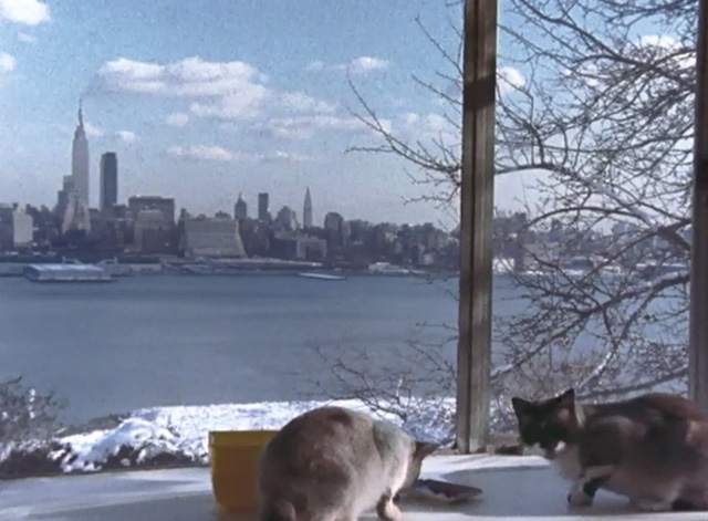 The Hudson river and Manhattan, viewed from New Jersey, with cats