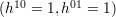   10     01
(h  = 1,h   = 1)  
