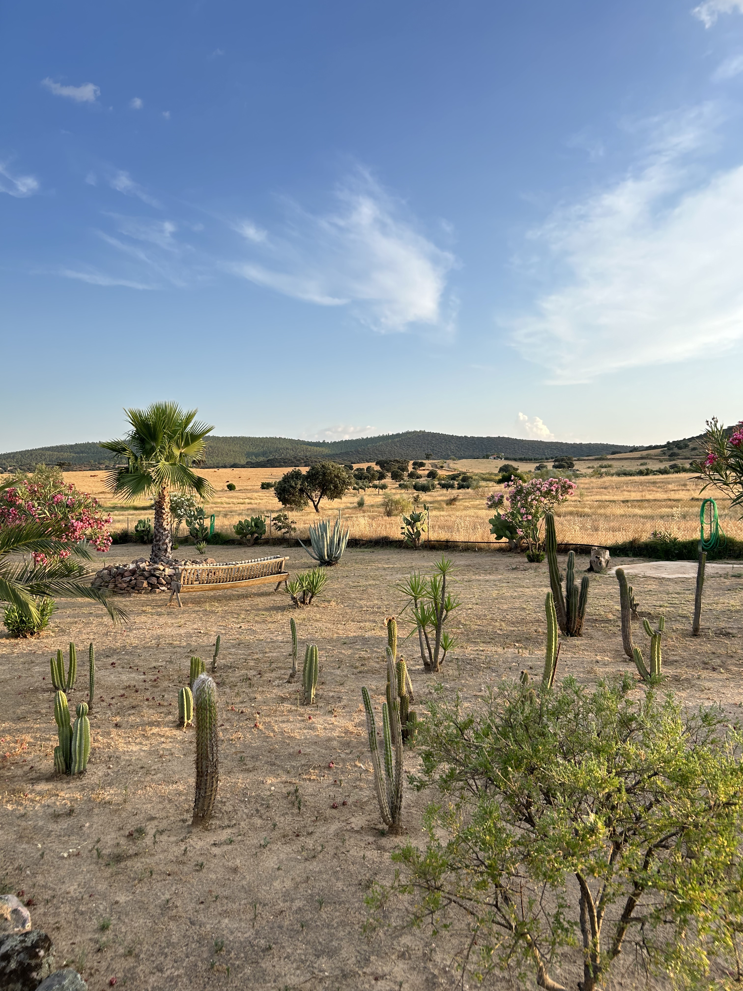 Landscape from my parent's house.