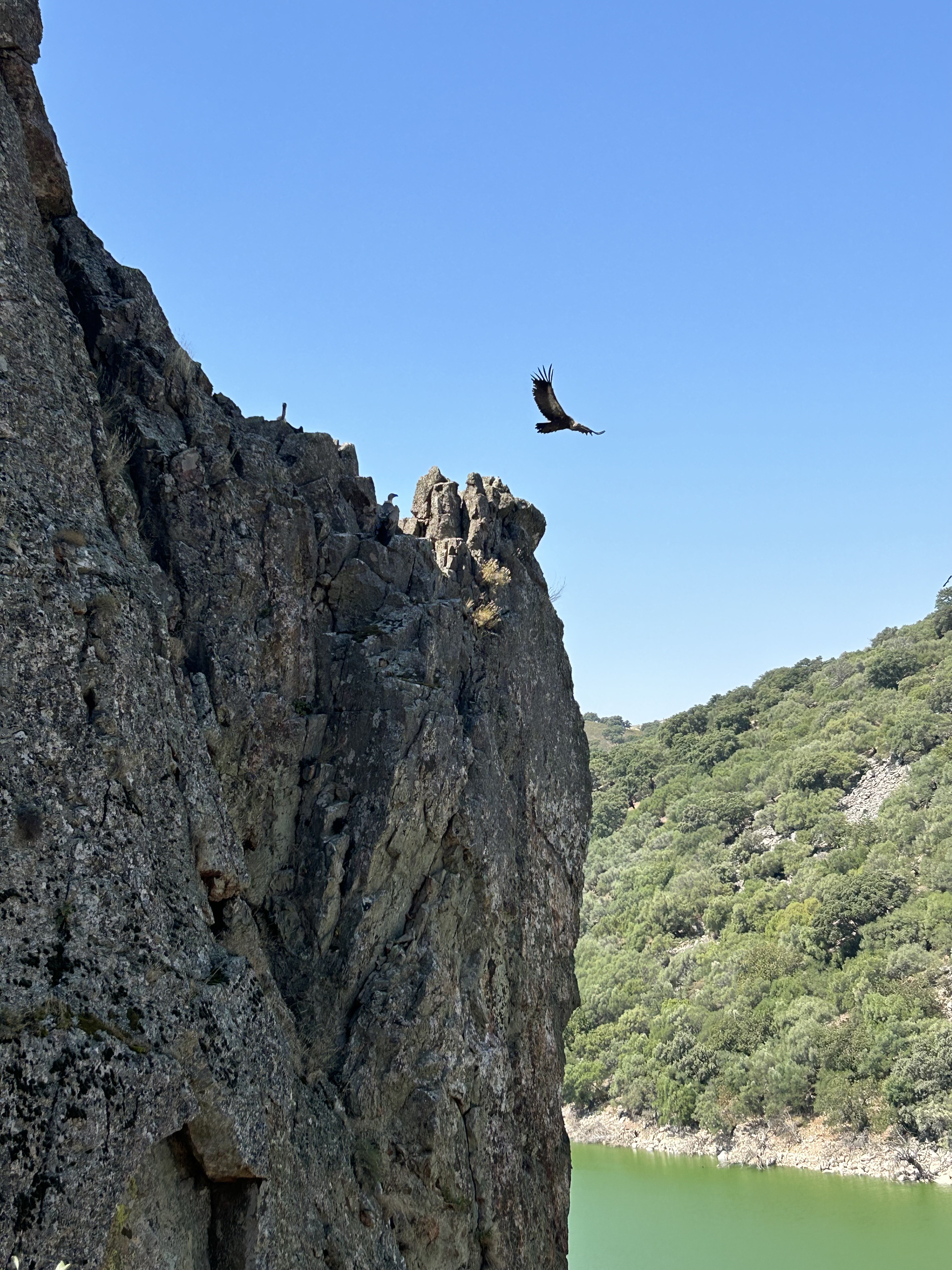 Monfragüe National Park.
