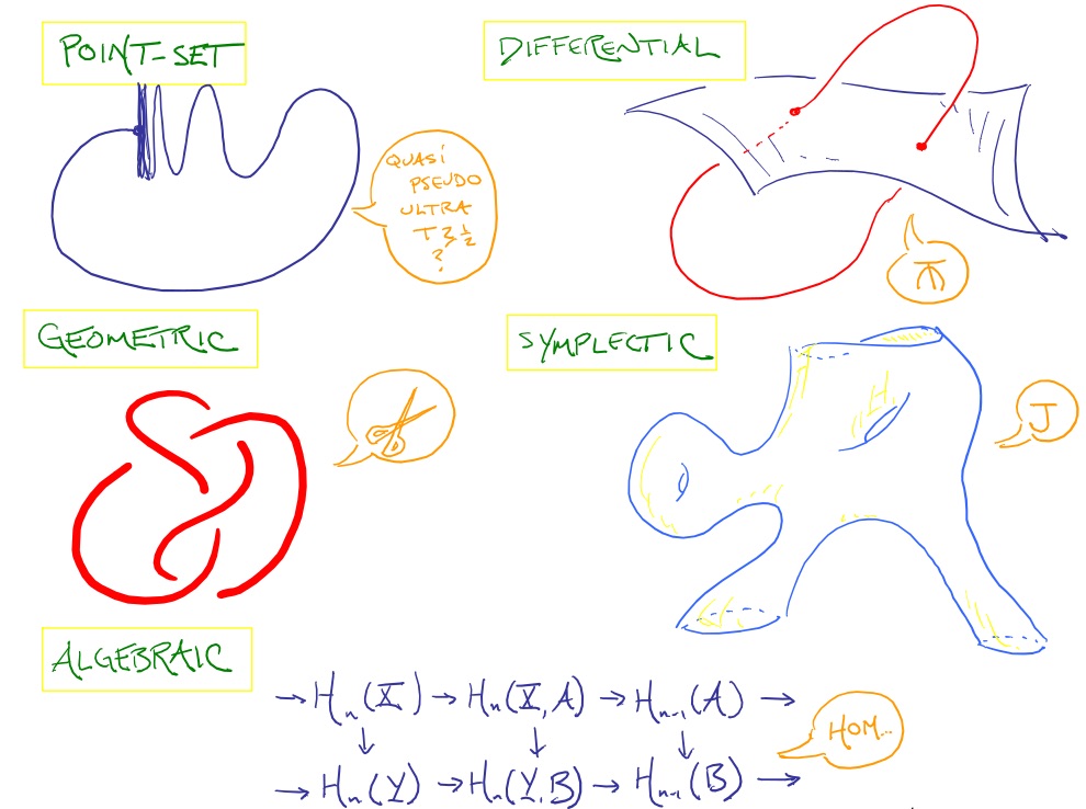 Topology